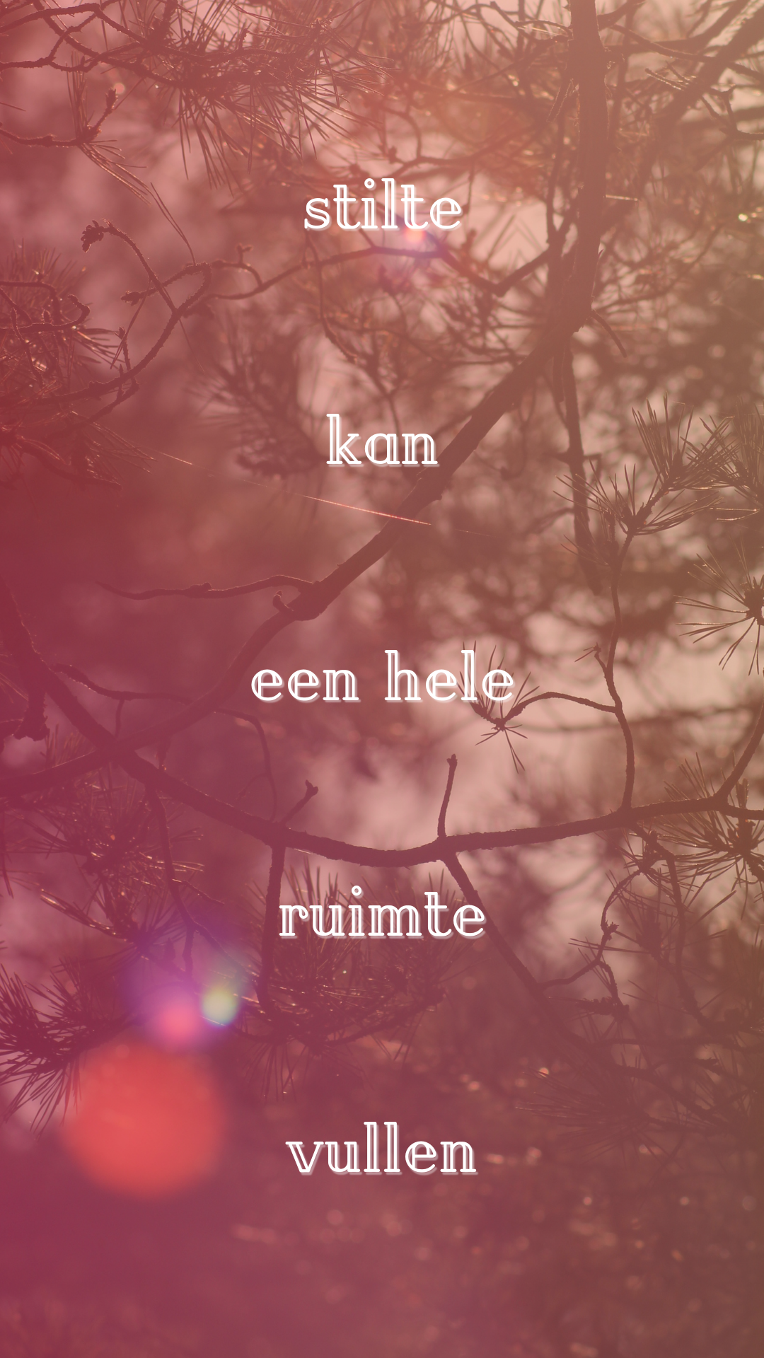 rvm social nov verhaal
